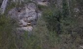 Tocht Noords wandelen Saint-Étienne-de-Gourgas - Forêt de Notre-Dame de Parlatge - Photo 6