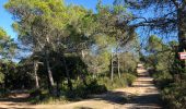 Excursión Senderismo Saint-Raphaël - Essai les jardins  - Photo 1