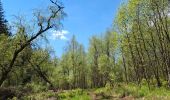 Tocht Stappen Waimes - Fagnes Mont Rigi - Photo 2