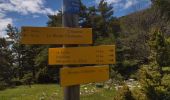 Tour Wandern Chalancon - 26 eyriau - Photo 1