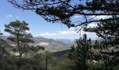 Tour Wandern Pontaix - Pontaix - ferme de Groslong - Photo 1