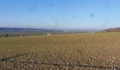 Tour Wandern Quevillon - 20211218-Quevillon  - Photo 8