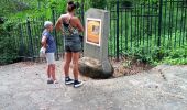 Randonnée Marche Saint-Paul - La grotte du peuplement - Photo 8