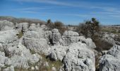 Excursión Senderismo Courmes - Tour du plateau de Saint Barnabé - Photo 1