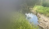 Trail Trail Petit-Bourg - IRA - Photo 1