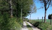 Excursión Senderismo Neufchâteau - Verlaine - Cap au vert - Photo 9