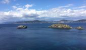 Tocht Stappen Hyères - Sentier du littoral de Giens - Photo 2