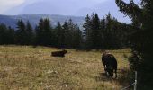 Excursión Marcha nórdica Arbaz - intermédiaire à Anzère  - Photo 1