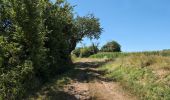 Percorso Marcia Rilly-sur-Vienne - Rilly-sur-Vienne - le Chêne Vert Fon Bon la Roche Chandres - 20.2km 275m 5h45 (1h) - 2025 07 12 - Photo 6