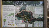 Tour Wandern Saint-Georges-sur-Cher - Saint-Georges-sur-Cher - GRP Forêt Montrichard - 17.6km 165m 3h40 - 2023 12 27 - Photo 3