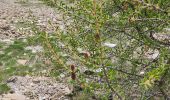 Tour Wandern Embrun - lac de l'hyvernet - Photo 3