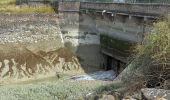 Tour Wandern Le Vivier-sur-Mer - Vivier sur mer - Photo 4