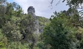 Excursión A pie Signes - Sioux Blanc,les bidoufles,le pas de Belgentier, les aiguilles et retour - Photo 5