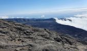 Randonnée Marche Sainte-Rose - Piton de la Fournaise (cratère Dolomieu) - Piton Partage - Photo 7