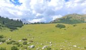 Randonnée Marche Marèo - Enneberg - Marebbe - DOLOMITES 03 - Refugio Sennes 2126 m - Photo 1