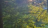 Tour Wandern Metzeral - Tour Steinabruck - Mittlach - Photo 15