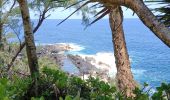 Tour Wandern Sainte-Rose - La source Anse des Cascades - Photo 9