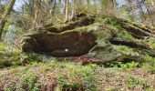 Percorso Marcia Lemberg - Lemberg - cascade des Ondines - sentiers des grottes et des étangs - Photo 6