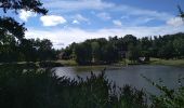 Tour Wandern Sentheim - Marcher au marché - Photo 2