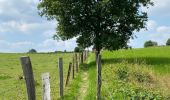 Tour Wandern Ciney - Chevetogne   Chapoit  - Photo 4