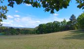 Tour Wandern Crillon-le-Brave - combe obscure via carrière d´ocre - Photo 15