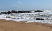 Tour Wandern Les Sables-d'Olonne - Zot/tinou le mehnir  - Photo 1