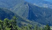 Tour Wandern Le Poët-Sigillat - poët Sigillat-col de Soubeyrand-Tarendol - Photo 10