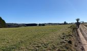 Tour Wandern La Roche-en-Ardenne - Un petit tour dans les fagnes de la goutte en partant de Samree  - Photo 2