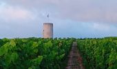 Tour Wandern Rochefort-sur-Loire - Rochefort sur Loire - Photo 2