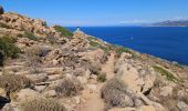 Tocht Stappen Calvi - ogliastrela, calvi - Photo 3