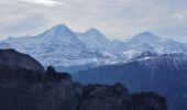 Excursión A pie Grindelwald - First - Bachalpsee - Fauhlhorn - Schynige Platte - Photo 7