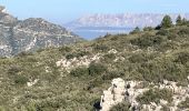 Trail Walking Allauch - La Paloire Rando Tamalous - Photo 3