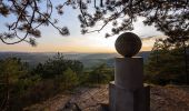 Percorso A piedi Rudolstadt - Rundwanderweg 5 - Photo 4