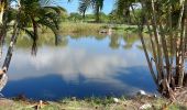 Excursión Senderismo Le Vauclin - Boucle Macabou via Morne Flambeau - Photo 11