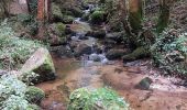 Tour Wandern Châtel-Guyon - Vallée de Sans Souci - Photo 3