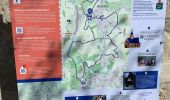 Randonnée Marche Lebbeke - 20220409 WSV Denderklokjes 12 km  - Photo 2