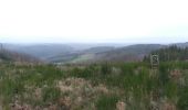 Trail Walking La Roche-en-Ardenne - Maboge  - Photo 1
