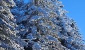 Trail Cross-country skiing Thélis-la-Combe - ski alternatif - Photo 6