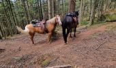 Trail Horseback riding Turquestein-Blancrupt - randonnée turquestein direction Celles-sur-Plaine  - Photo 4