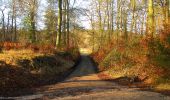 Tour Wandern Vieux-Moulin - en forêt de Compiègne_25_les Tournantes du Mont Saint-Pierre - Photo 1