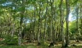 Tour Wandern Saint-Urcize - AVEYRON . S URCIZE . CASCADE DE JIOU JIOU O  - Photo 3