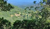 Tour Wandern La Garde-Freinet - La Mourre, La Garde-Freinet-22-05-24 - Photo 5