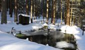 Tour Zu Fuß Steinbach am Wald - Buchbacher-Weg - Photo 5