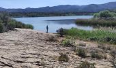 Excursión Senderismo Le Cannet-des-Maures - Essai lac des Escarcets - Photo 2