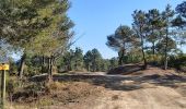 Trail Walking Caunes-Minervois - LaMatte_18/02/2023 - Photo 12