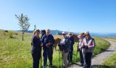 Tour Wandern Saint-Geniez - St Geniez boucle  320 + - Photo 16