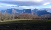 Randonnée Marche nordique Seyssins - MN Haut de Seyssins  voie du tram - Photo 2