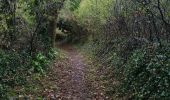 Trail Walking Pouldreuzic - pouldreuzic - Photo 5