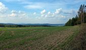 Trail On foot Cheb - CZ-6703 - Photo 4