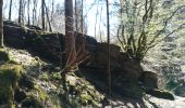 Tocht Stappen La Roche-en-Ardenne - Samrée  - Photo 8